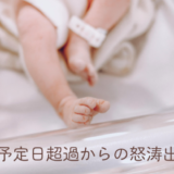 ブログタイトル：初産・予定日超過からの怒涛出産レポ