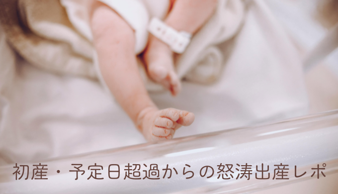 ブログタイトル：初産・予定日超過からの怒涛出産レポ
